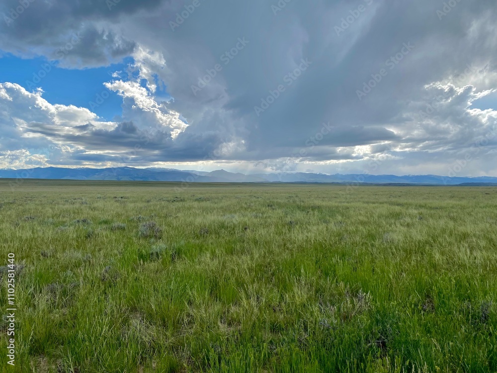 Wyoming Open Spaces Wyoming Open Spaces