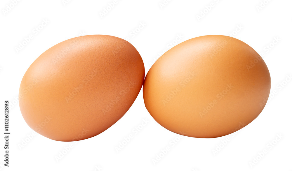 Top view of two brown chicken eggs in stack isolated with clipping path in png file format Top view of two brown chicken eggs in stack isolated with clipping path in png file format