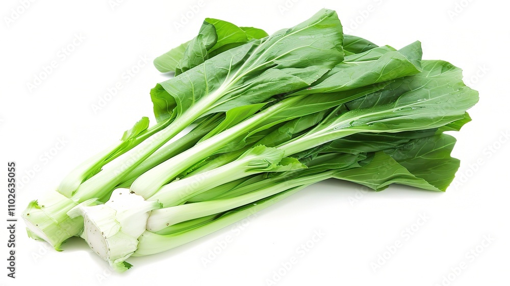 Chinese Cabbage - A Fresh and Nutritious Vegetable Display. The Green and White Chinese Cabbage, with Its Lush Leaves and Firm Structure, Standing Out as a Staple in Many Cuisines Chinese Cabbage - A Fresh and Nutritious Vegetable Display. The Green and White Chinese Cabbage, with Its Lush Leaves and Firm Structure, Standing Out as a Staple in Many Cuisines