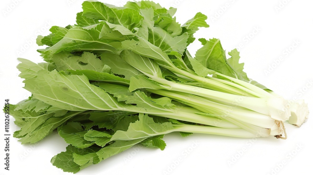 Chinese Cabbage - A Fresh and Nutritious Vegetable Display. The Green and White Chinese Cabbage, with Its Lush Leaves and Firm Structure, Standing Out as a Staple in Many Cuisines Chinese Cabbage - A Fresh and Nutritious Vegetable Display. The Green and White Chinese Cabbage, with Its Lush Leaves and Firm Structure, Standing Out as a Staple in Many Cuisines