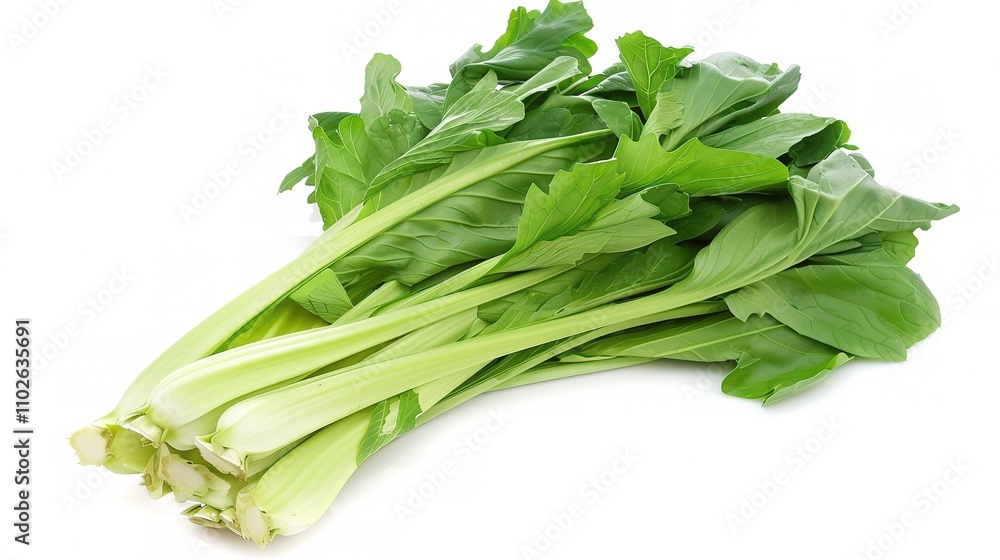Chinese Cabbage - A Fresh and Nutritious Vegetable Display. The Green and White Chinese Cabbage, with Its Lush Leaves and Firm Structure, Standing Out as a Staple in Many Cuisines Chinese Cabbage - A Fresh and Nutritious Vegetable Display. The Green and White Chinese Cabbage, with Its Lush Leaves and Firm Structure, Standing Out as a Staple in Many Cuisines
