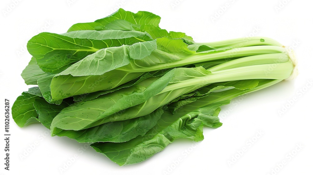 Chinese Cabbage - A Fresh and Nutritious Vegetable Display. The Green and White Chinese Cabbage, with Its Lush Leaves and Firm Structure, Standing Out as a Staple in Many Cuisines Chinese Cabbage - A Fresh and Nutritious Vegetable Display. The Green and White Chinese Cabbage, with Its Lush Leaves and Firm Structure, Standing Out as a Staple in Many Cuisines