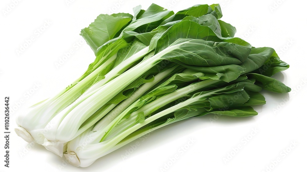 Chinese Cabbage - A Fresh and Nutritious Vegetable Display. The Green and White Chinese Cabbage, with Its Lush Leaves and Firm Structure, Standing Out as a Staple in Many Cuisines Chinese Cabbage - A Fresh and Nutritious Vegetable Display. The Green and White Chinese Cabbage, with Its Lush Leaves and Firm Structure, Standing Out as a Staple in Many Cuisines