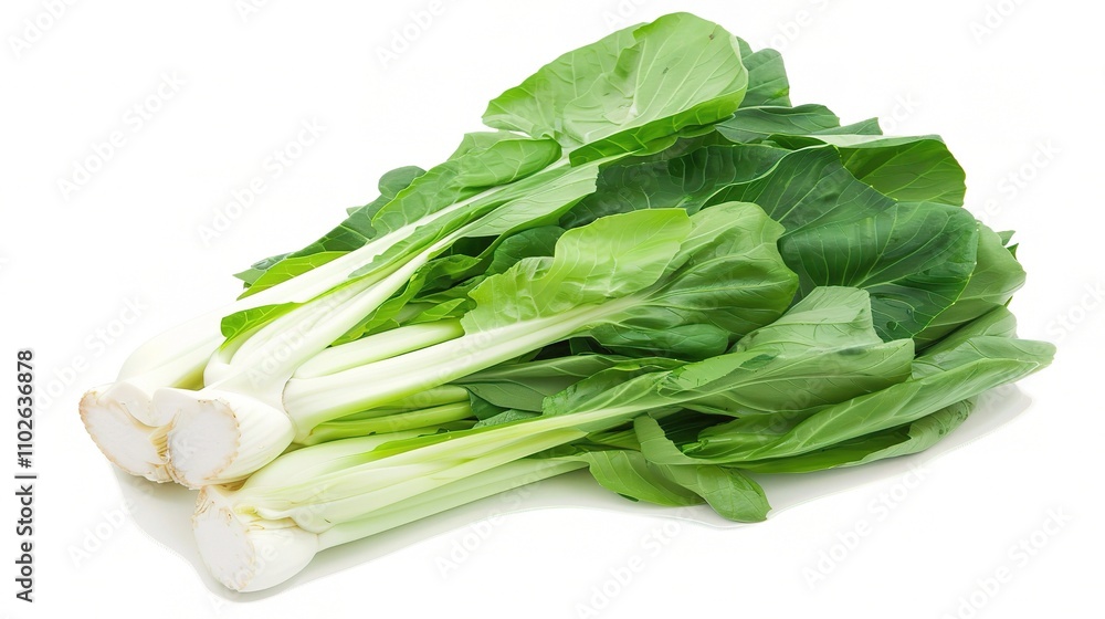 Chinese Cabbage - A Fresh and Nutritious Vegetable Display. The Green and White Chinese Cabbage, with Its Lush Leaves and Firm Structure, Standing Out as a Staple in Many Cuisines Chinese Cabbage - A Fresh and Nutritious Vegetable Display. The Green and White Chinese Cabbage, with Its Lush Leaves and Firm Structure, Standing Out as a Staple in Many Cuisines