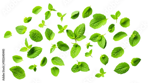 Flying mint leaves