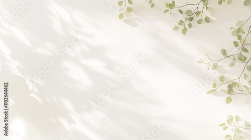 シンプルな白い壁と葉っぱ