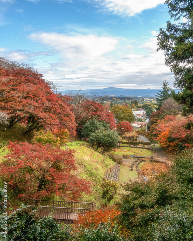 Obraz premium 栃木県 佐久山御殿山紅葉祭り 