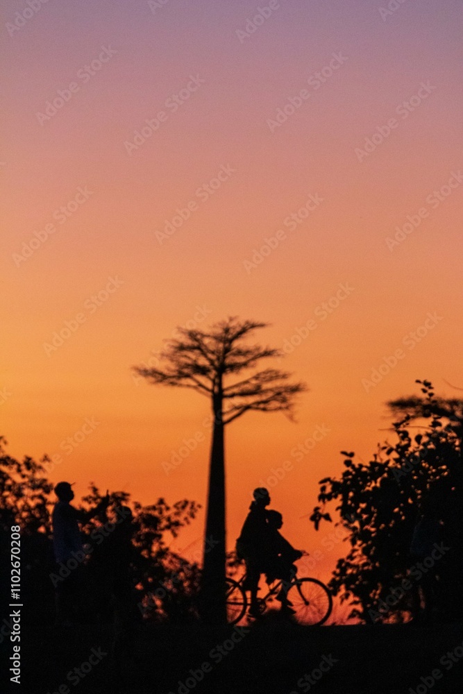Silhouette of Two People Riding Bicycle at Sunset with a Baobab Tree, Morondava, Madagascar Silhouette of Two People Riding Bicycle at Sunset with a Baobab Tree, Morondava, Madagascar