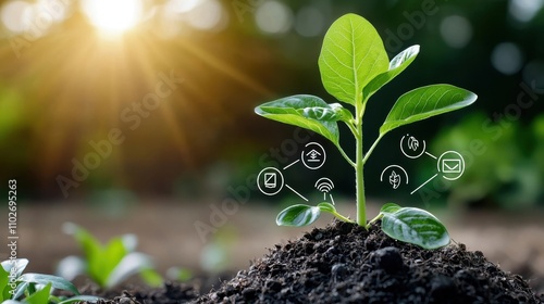 Sustainable Growth and Innovation Closeup of a young green seedling sprouting from soil symbolizing new beginnings potential and a promising future for business technology and the environment