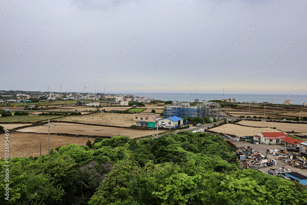 제주도 제주시 구좌읍 행원리 행원연대봉 오름 제주도 제주시 구좌읍 행원리 행원연대봉 오름