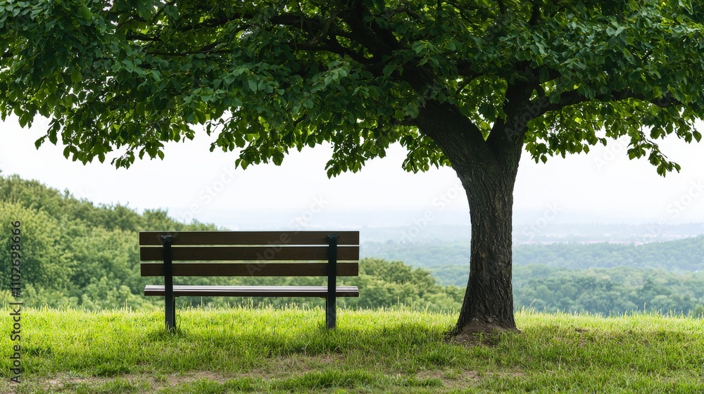 A serene landscape featuring a solitary bench beneath a lush tree, overlooking rolling hills and distant vistas. A serene landscape featuring a solitary bench beneath a lush tree, overlooking rolling hills and distant vistas.