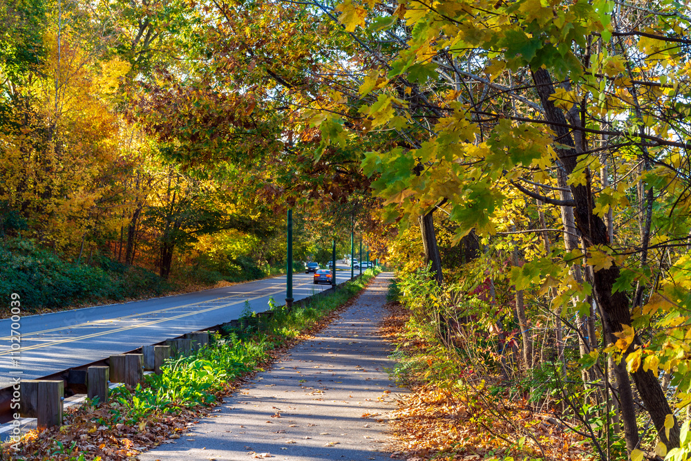 Scenic autumn view along the Dr. Paul Dudley White Bike Path and Nonantum Road in Watertown, Massachusetts, USA
Scenic autumn view along the Dr. Paul Dudley White Bike Path and Nonantum Road in Watertown, Massachusetts, USA
