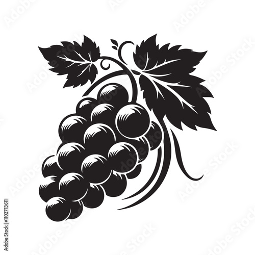 black and white grapes vector