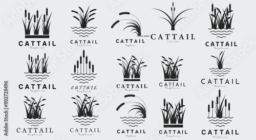 collection of cattail logo vector illustration design