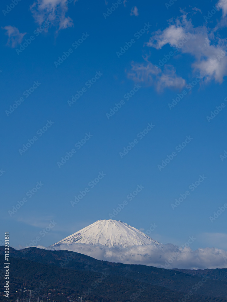 富士山。東側。神奈川県小田原市内より。
Mt. Fuji. East side. From Odawara City, Kanagawa Prefecture. 富士山。東側。神奈川県小田原市内より。
Mt. Fuji. East side. From Odawara City, Kanagawa Prefecture.