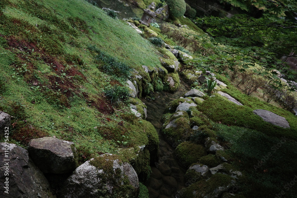 Japanese Green Landscape with Pond, Stones, and Moss – Serene Zen Garden Scene Japanese Green Landscape with Pond, Stones, and Moss – Serene Zen Garden Scene