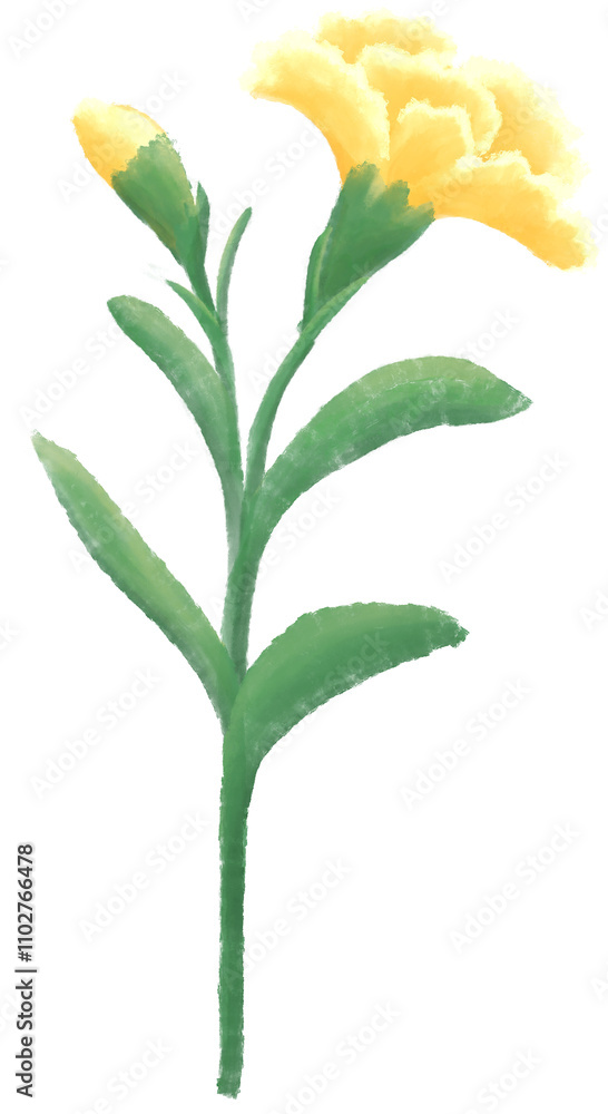 Naklejka premium Orange carnation oil painting