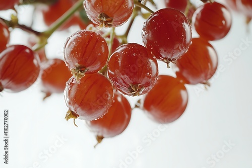 Gooseberries isolated on a white background, close up photo