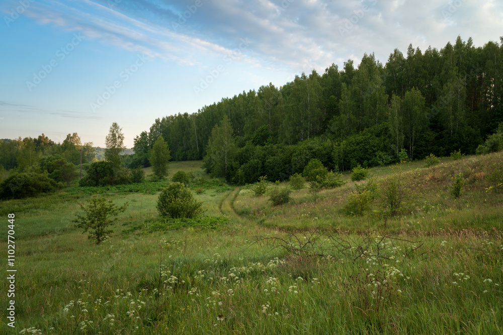 View of the country road through the Izborsko-Malskaya valley on a sunny summer morning, Izborsk, Pechersk district, Pskov region, Russia View of the country road through the Izborsko-Malskaya valley on a sunny summer morning, Izborsk, Pechersk district, Pskov region, Russia