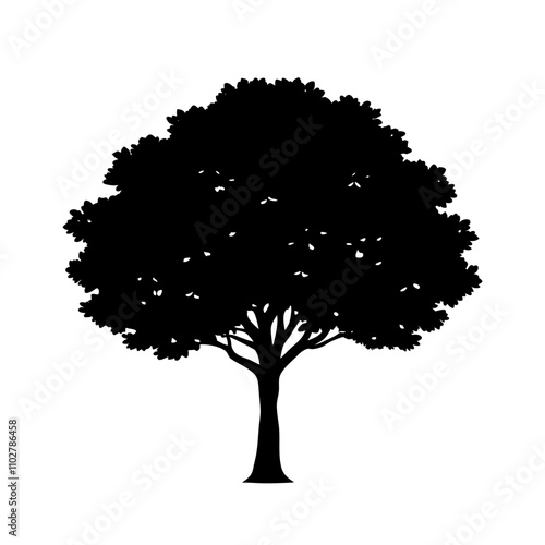 Boxwood Tree silhouette vector with a white background