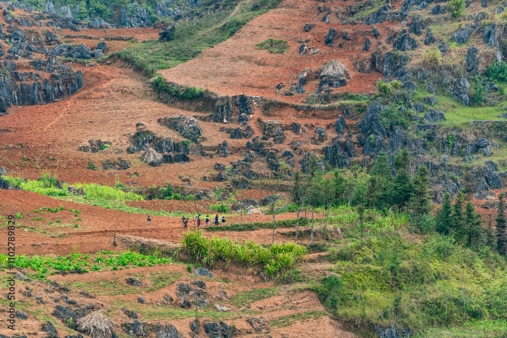 Naklejka premium Spring landscape in Ha Giang - Northern mountainous province of Vietnam