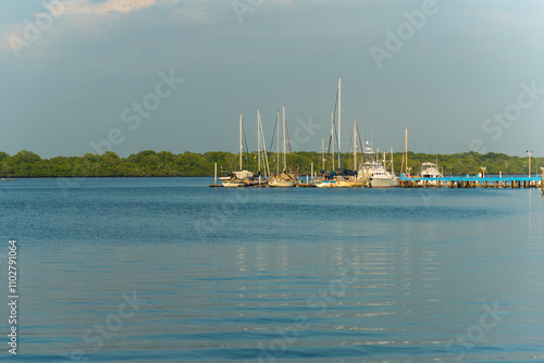 Jaltepeque Estuary, a salty estuary located between the departments of La Paz and San Vicente photo