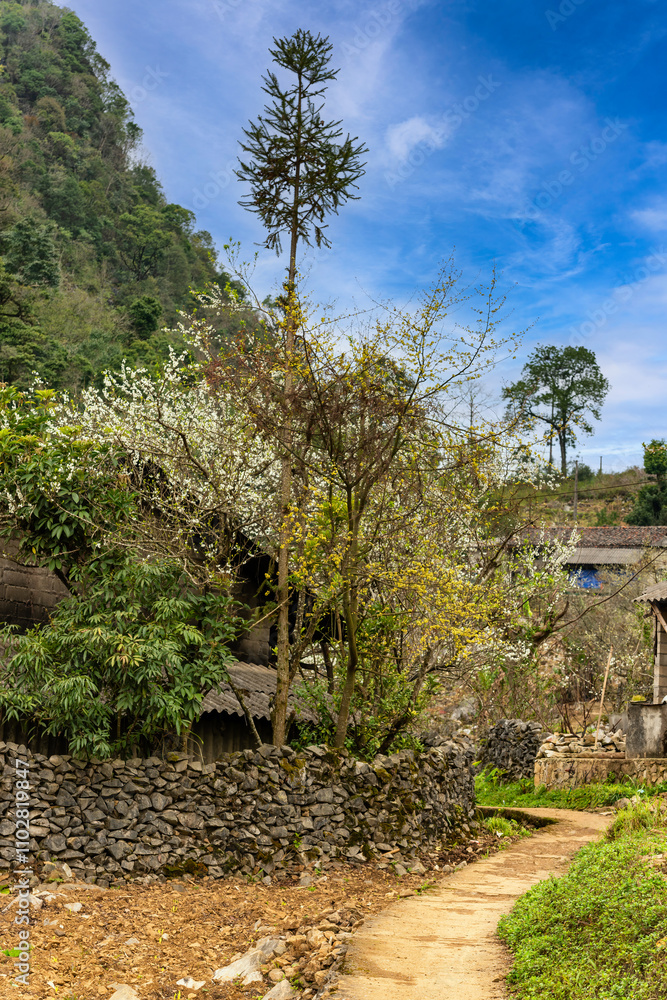 Spring landscape in Ha Giang - Northern mountainous province of Vietnam Spring landscape in Ha Giang - Northern mountainous province of Vietnam