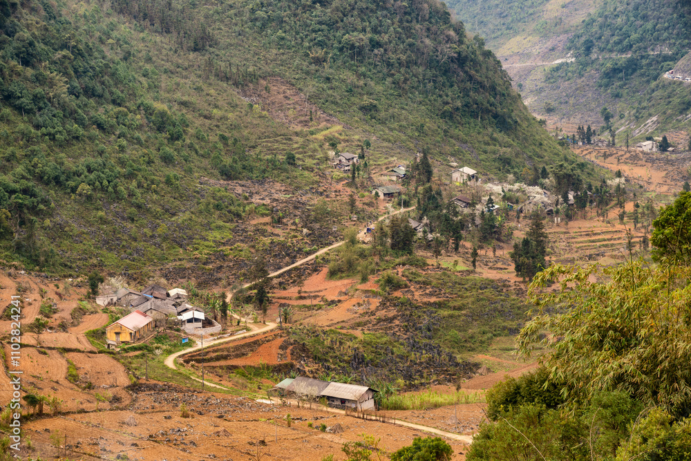 Fototapeta premium Spring landscape in Ha Giang - Northern mountainous province of Vietnam