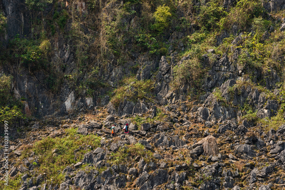 Spring landscape in Ha Giang - Northern mountainous province of Vietnam Spring landscape in Ha Giang - Northern mountainous province of Vietnam
