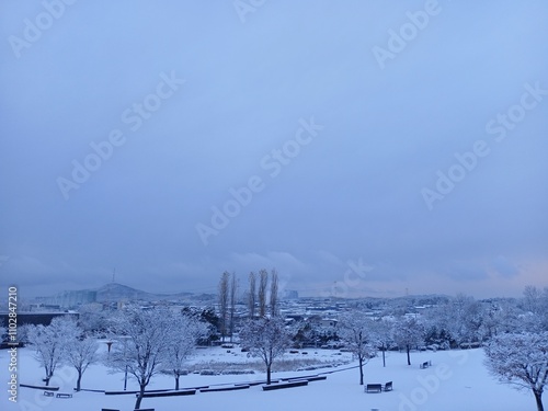 winter landscape with trees