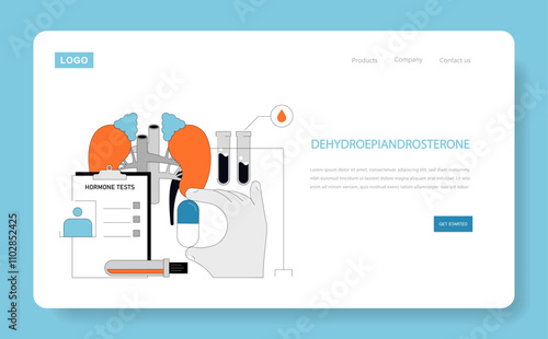 DHEA Supplement. Flat Vector Illustration