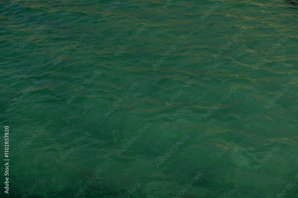 Obraz premium Deep green ocean background