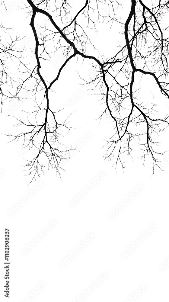 Fototapeta premium Elegant Minimalist Branch Patterns with a Clear Background