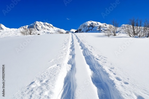 Wallpaper Mural A close-up of ski tracks carving through fresh powder snow on the slopes of Bjelasnica Torontodigital.ca