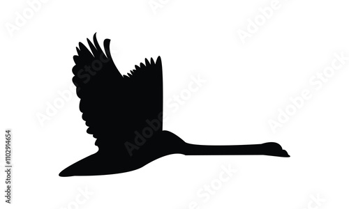 Flying Swan Silhouette Design  And Vector Illustration. 