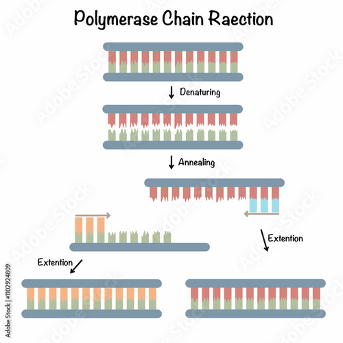 Polymerase Chain Reaction photo