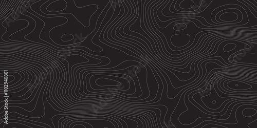 Abstract Topographic background White&Blak  Topographic Simple Map Design  
