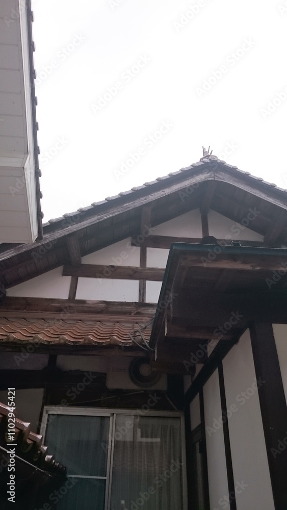 663)japanese yellow hornet's nest in the attic of a very old private house(Photo taken at 09:16 on september 25, 2015) 663)japanese yellow hornet's nest in the attic of a very old private house(Photo taken at 09:16 on september 25, 2015)