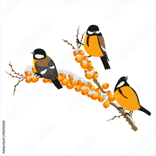 sea buckthorn, tree branch with berries in winter with snow and great tit birds, isolated at white background, hand drawn illustration