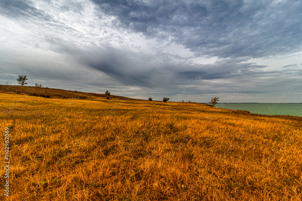 Obraz premium Panorama of a yellow fall field in overcast weather.