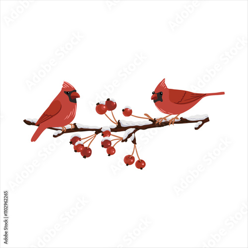 appletree, tree branch with fruits in winter with snow and nothern cardinal birds, isolated at white background, hand drawn illustration