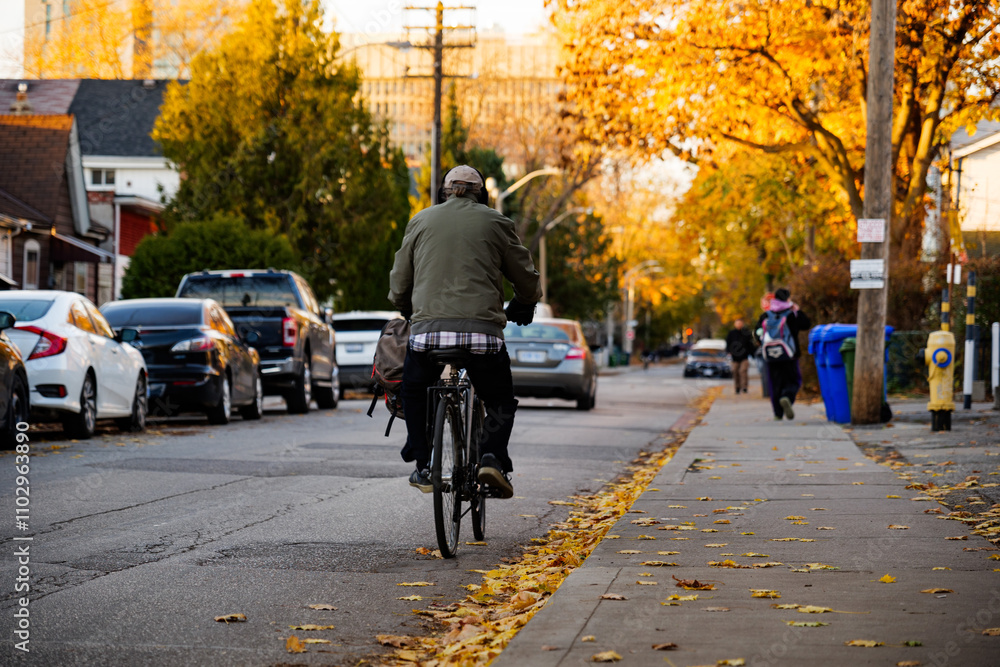 custom made wallpaper toronto digitalBicycle in Autumn