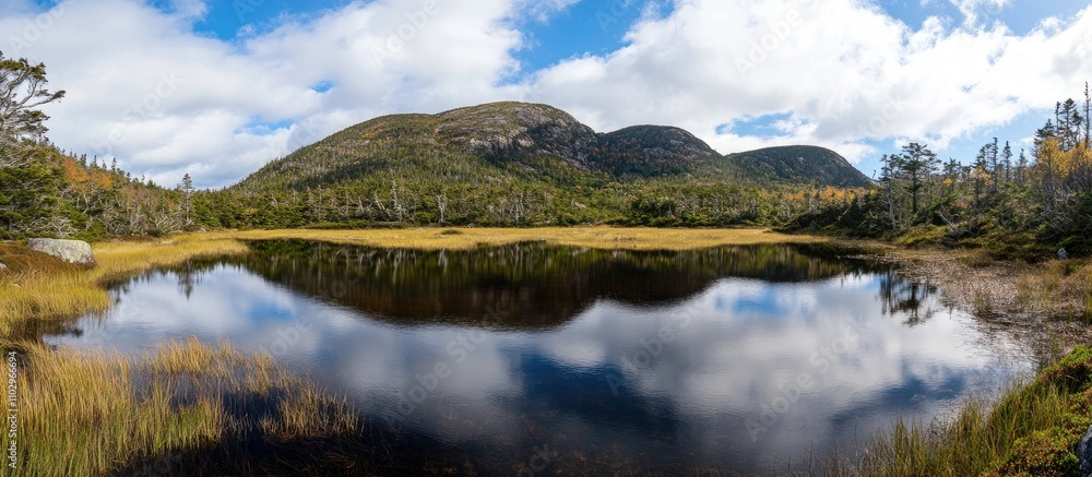 Obraz premium Scenic view of a tranquil lake surrounded by mountains and lush greenery in a national park landscape under a sunny sky
