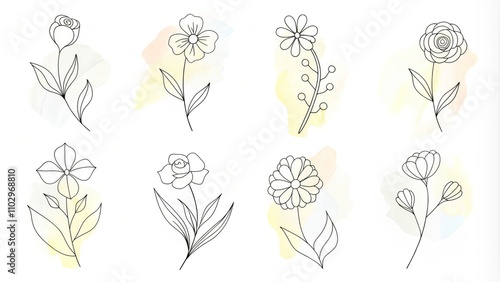 Yellow wildflowers set. Wildflowers floral botanical plants. Meadow and field herbs. Delicate summer flowers in hand drawn flat style. Set of summer delicate flower bouquets. Bunches of wildflowers