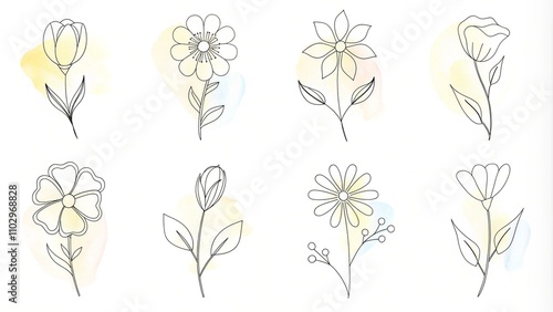 Yellow wildflowers set. Wildflowers floral botanical plants. Meadow and field herbs. Delicate summer flowers in hand drawn flat style. Set of summer delicate flower bouquets. Bunches of wildflowers