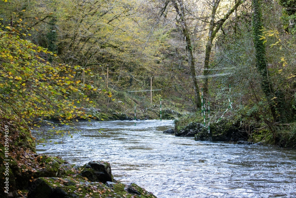 Obraz premium Serene Woodland River Flowing through Dordogne's Lush Autumn Landscape