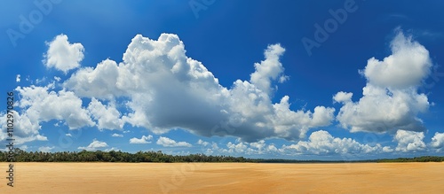 Tranquil tropical beach with golden sand under a vibrant blue sky dotted with fluffy clouds and surrounded by lush rainforest vegetation photo