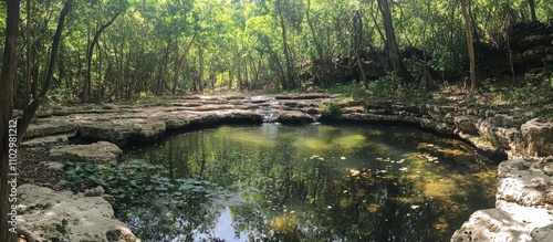 Serene cenote surrounded by lush greenery reflecting tranquil water in a natural jungle setting photo