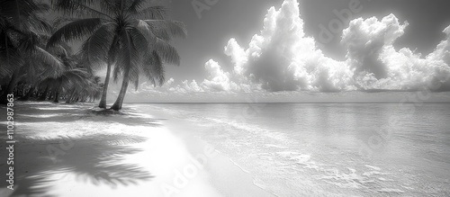 Serene black and white beach landscape featuring palm trees and tranquil waters under a dramatic sky