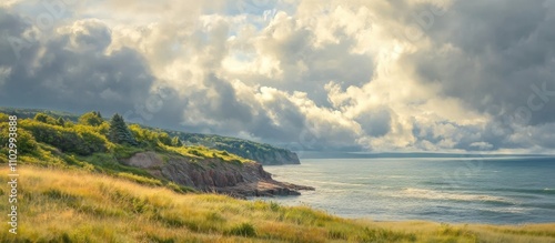 Coastal Landscape with Dramatic Clouds and Lush Greenery on a Summer Day